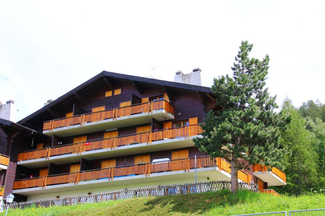Mayens De L'Ours Mountain & Center Apartments By Alpvision Residences Agettes 외부 사진